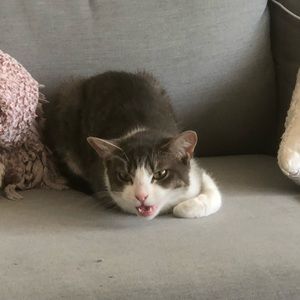 Meet your Posher, Jimmy